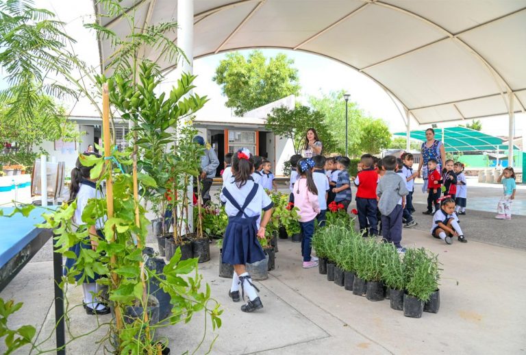 Jesús María fomenta reforestación y conciencia ambiental en niños