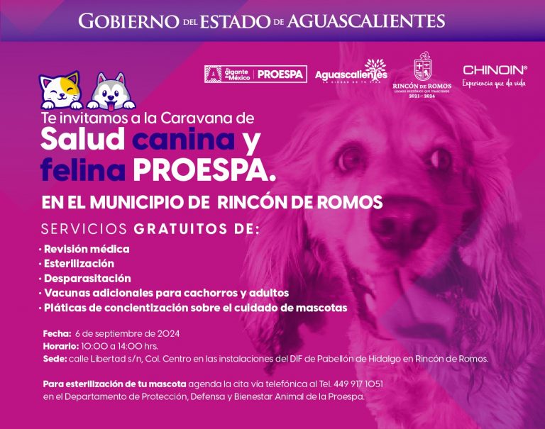 Gobierno Estatal Ofrecerá Servicios Veterinarios Gratuitos en Pabellón de Hidalgo