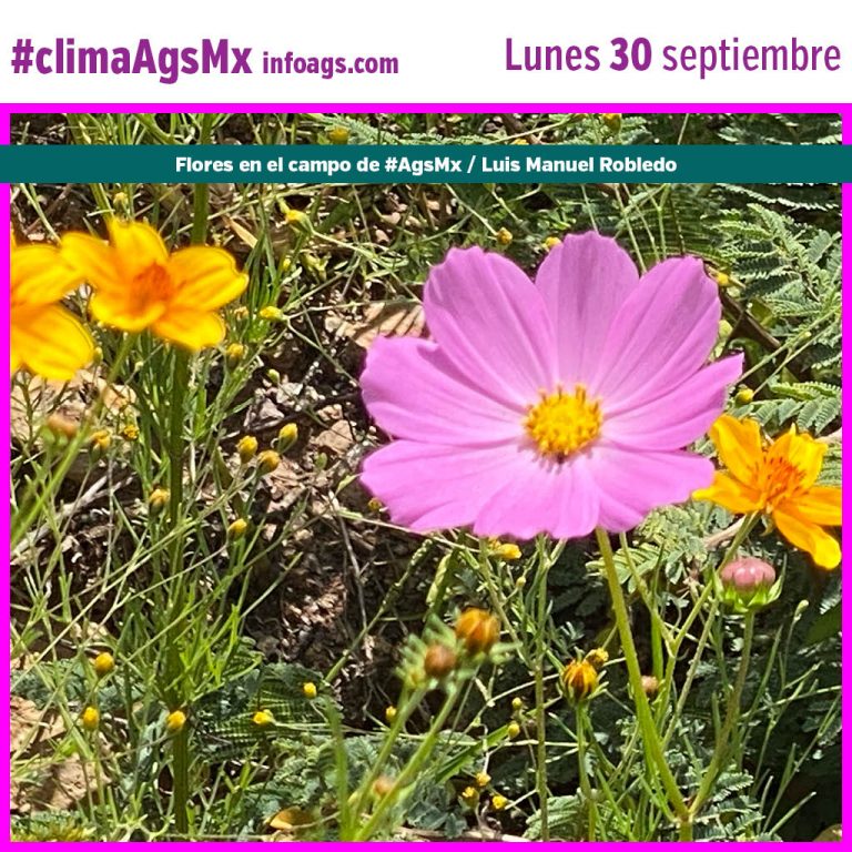 #clima en #AgsMx Lunes 30 de septiembre