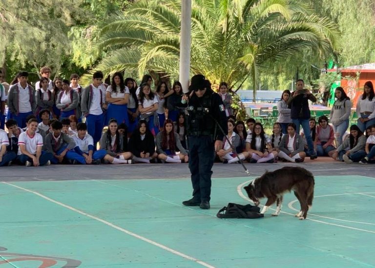 Realizan demostración de binomios caninos en Calvillo