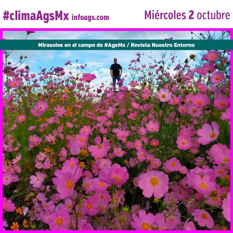 #clima en #AgsMx Miércoles 2 de octubre