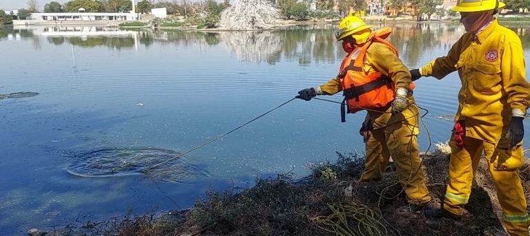 Mega Operativo limpia Presa de los Gringos para prevenir inundaciones