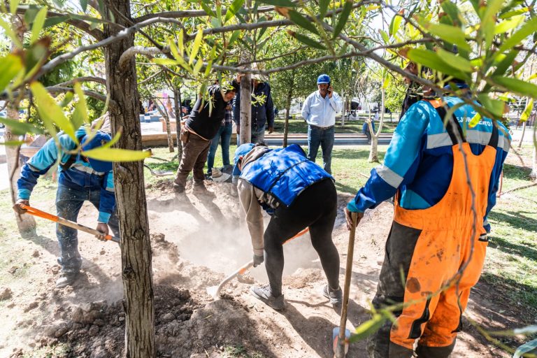 Jesús María continúa reforestando su centro histórico