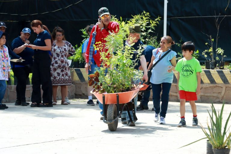 Más de 140 mil árboles donados en Aguascalientes durante 2024